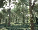 Archmodels vol 117 - Realistic Tree Collection