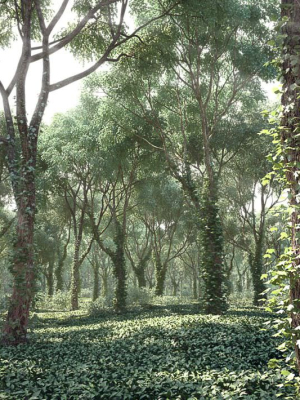 archmodels-vol-117-realistic-tree-collection-3d-model-770162313d