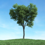 Archmodels vol 117 - Realistic Tree Collection