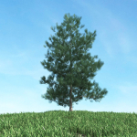 Archmodels vol 117 - Realistic Tree Collection