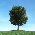 Archmodels vol 117 - Realistic Tree Collection