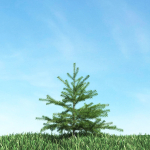 Archmodels vol 117 - Realistic Tree Collection
