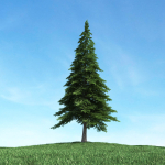 Archmodels vol 117 - Realistic Tree Collection