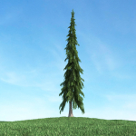 Archmodels vol 117 - Realistic Tree Collection