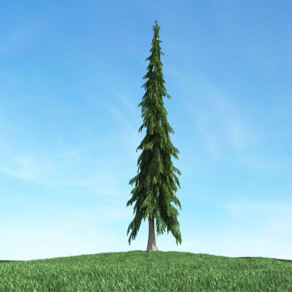 Archmodels vol 117 - Realistic Tree Collection