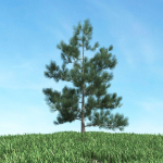 Archmodels vol 117 - Realistic Tree Collection