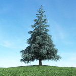 Archmodels vol 117 - Realistic Tree Collection
