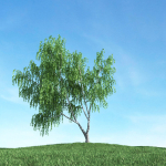 Archmodels vol 117 - Realistic Tree Collection