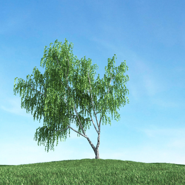 Archmodels vol 117 - Realistic Tree Collection