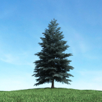 Archmodels vol 117 - Realistic Tree Collection
