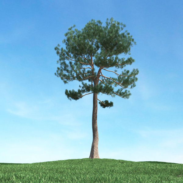 Archmodels vol 117 - Realistic Tree Collection