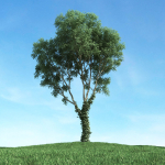 Archmodels vol 117 - Realistic Tree Collection