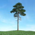 Archmodels vol 117 - Realistic Tree Collection