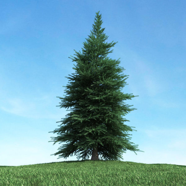 Archmodels vol 117 - Realistic Tree Collection