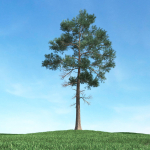 Archmodels vol 117 - Realistic Tree Collection