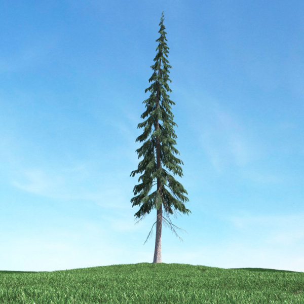 Archmodels vol 117 - Realistic Tree Collection