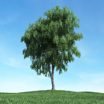 Archmodels vol 117 - Realistic Tree Collection