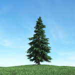 Archmodels vol 117 - Realistic Tree Collection