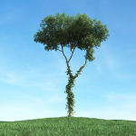 Archmodels vol 117 - Realistic Tree Collection