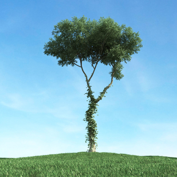 Archmodels vol 117 - Realistic Tree Collection