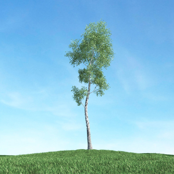 Archmodels vol 117 - Realistic Tree Collection