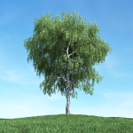 Archmodels vol 117 - Realistic Tree Collection