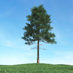 Archmodels vol 117 - Realistic Tree Collection