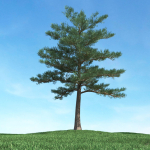 Archmodels vol 117 - Realistic Tree Collection
