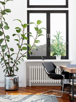 archmodels-vol-173-indoor-plants-and-flowers-models-3d-model-max-obj-fbx-c4d