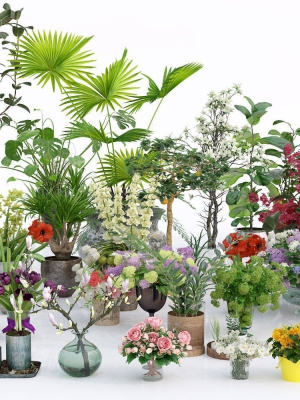 Archmodels vol 173 - indoor plants and flowers models