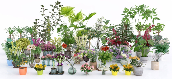 Archmodels vol 173 - indoor plants and flowers models