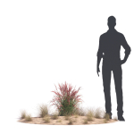 Archmodels vol 276 for 3dsmax - desert plants
