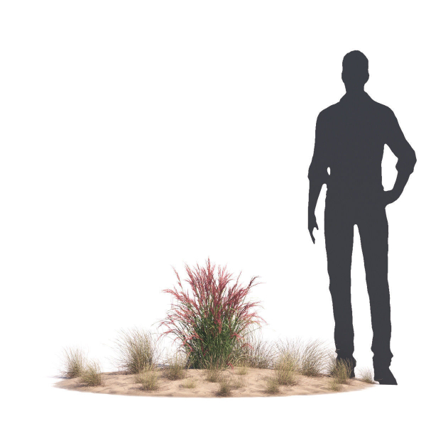 Archmodels vol 276 for 3dsmax - desert plants