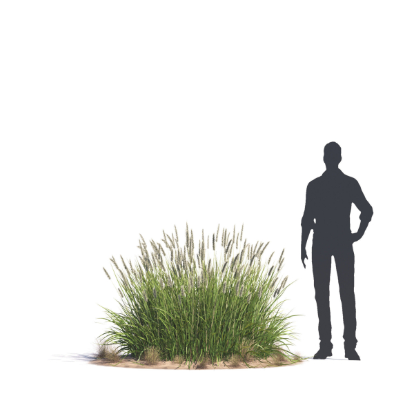 Archmodels vol 276 for 3dsmax - desert plants