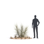 Archmodels vol 276 for 3dsmax - desert plants