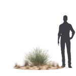Archmodels vol 276 for 3dsmax - desert plants