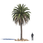 Archmodels vol 276 for 3dsmax - desert plants