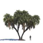 Archmodels vol 276 for 3dsmax - desert plants