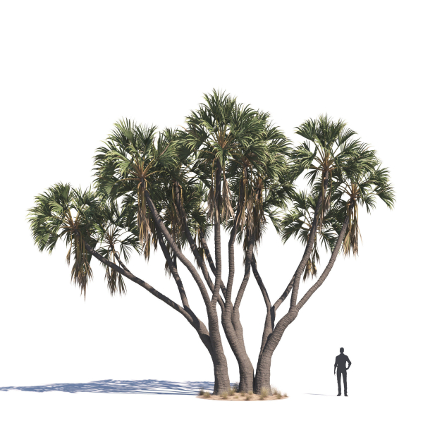 Archmodels vol 276 for 3dsmax - desert plants