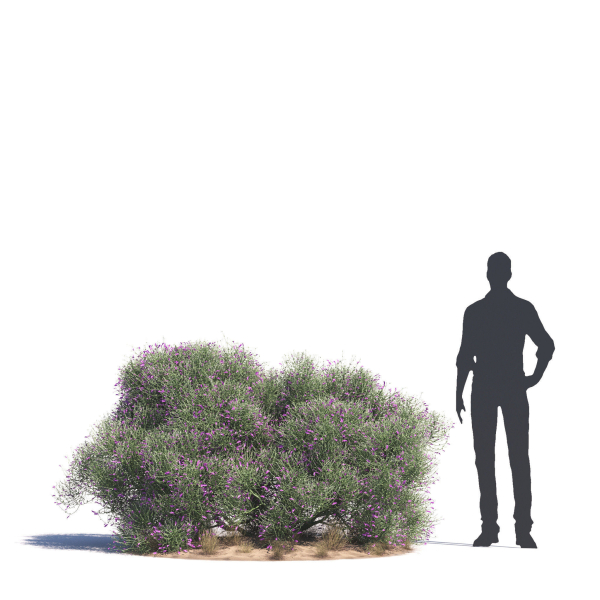 Archmodels vol 276 for 3dsmax - desert plants