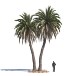 Archmodels vol 276 for 3dsmax - desert plants