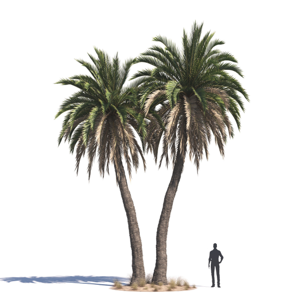 Archmodels vol 276 for 3dsmax - desert plants