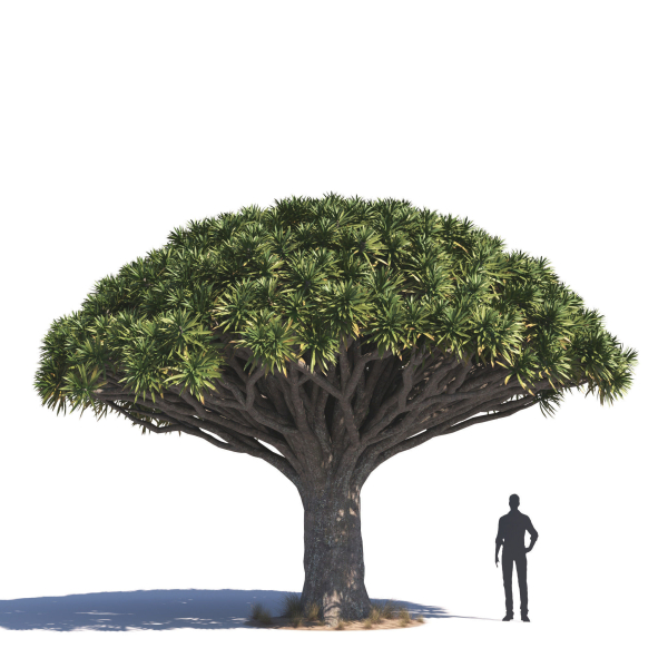 Archmodels vol 276 for 3dsmax - desert plants