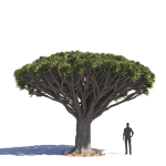 Archmodels vol 276 for 3dsmax - desert plants