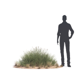 Archmodels vol 276 for 3dsmax - desert plants