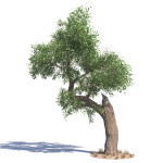 Archmodels vol 276 for 3dsmax - desert plants