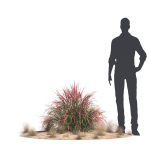 Archmodels vol 276 for 3dsmax - desert plants