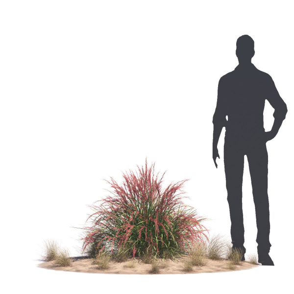 Archmodels vol 276 for 3dsmax - desert plants