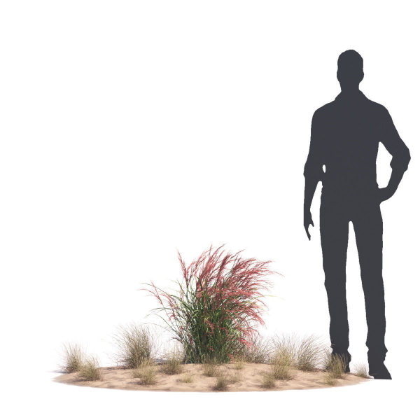 Archmodels vol 276 for 3dsmax - desert plants