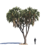 Archmodels vol 276 for 3dsmax - desert plants